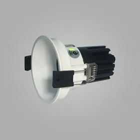 Bania 15 IP Recessed Ceiling Luminaires Dlux Round Recess Ceiling